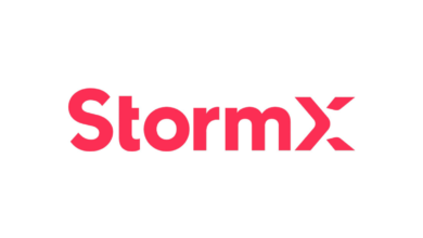 stormx coin price prediction