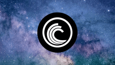 bittorrent coin price prediction 2030