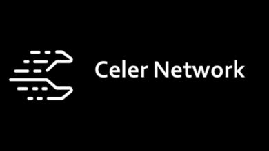 celer network price prediction