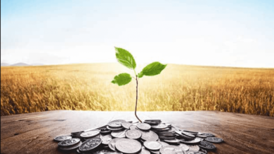 oatly stock price prediction