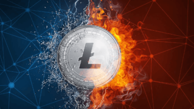 Examining Litecoin's Price Potential: Over $1.6 Billion in Position to Profit