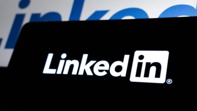 neuralnet media brand identity