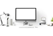 seo services by logicwave