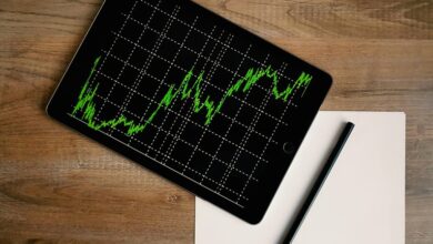 elevate digital growth online services