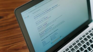 elevate digital influence web services