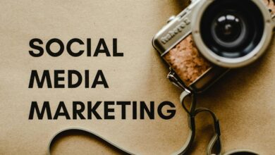 elevate your digital marketing platform
