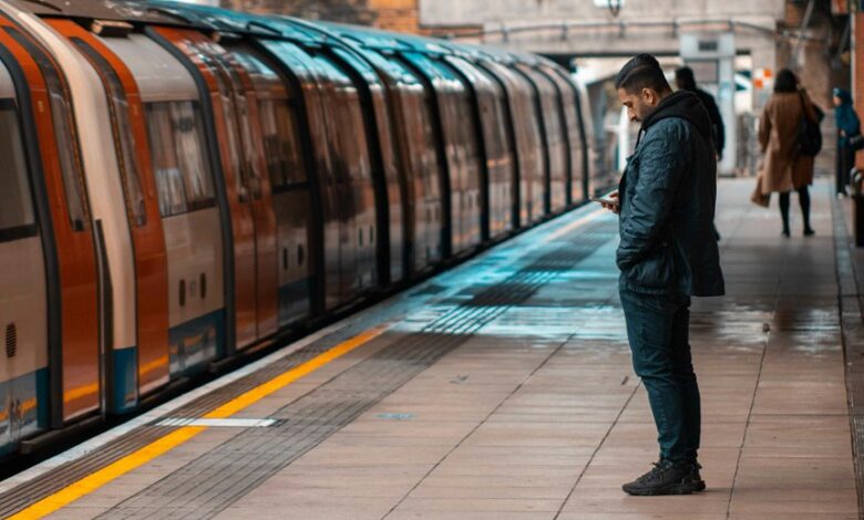 expand online authority platform