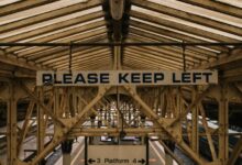 expand your online authority platform