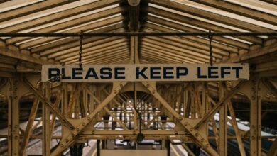 expand your online authority platform